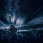 dark-nature-background-sf5wu61v1au0kwfk